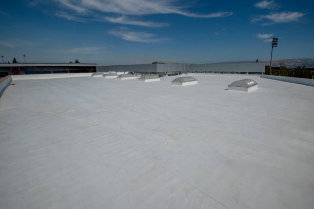 Best Rubber Roofing (EPDM, TPO)  in Goose Creek, SC