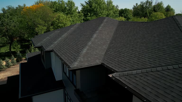 Best Roof Ventilation Installation  in Goose Creek, SC