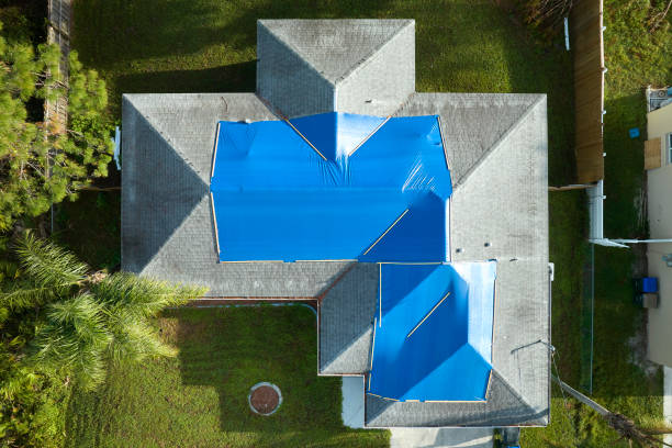 Best Sheet Metal Roofing  in Goose Creek, SC