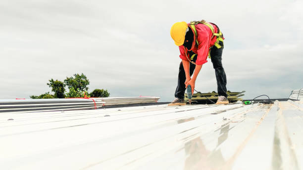 Best Roof Moss and Algae Removal  in Goose Creek, SC