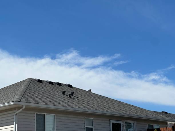 Best Roof Ventilation Installation  in Goose Creek, SC